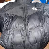 Giubbotto The north face