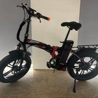 Bicicletta Elettrica.