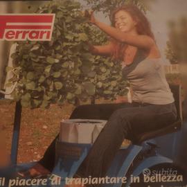 trapiantatrice 