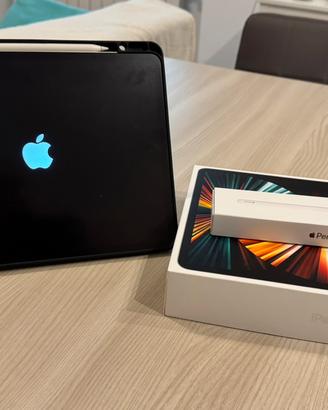 iPad Pro M1 256gb WiFi + Apple Pencil + Paperlike