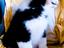 Immagine 5