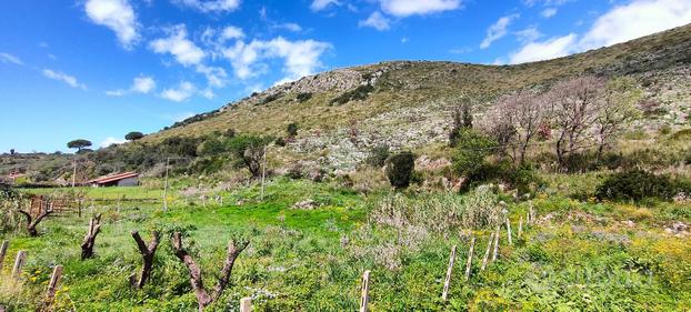 TER. AGRICOLO A GAETA