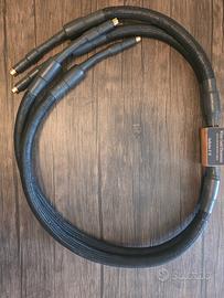 White Gold Infinito FII RCA 1,5mt