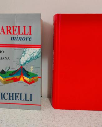 2 Vocabolari "Lo Zingarelli Minore" Zanichelli