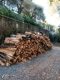 legna da stagionare 