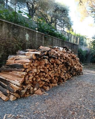 legna da stagionare 