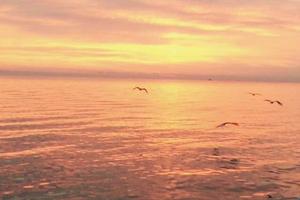 Appartamento 80m dal mare Cariati Calabria