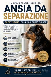 Diario “Ansia da separazione”