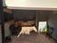 Immagine 5
