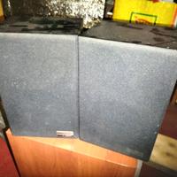 Diffusori Bose Interaudio 1000XL leggere bene