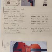 Viola strumenti musicali