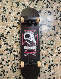 Skateboard Completo Birdhouse Serie Pro Originale