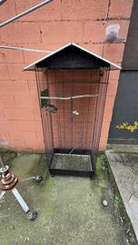 voliera gabbia per uccelli pappagalli