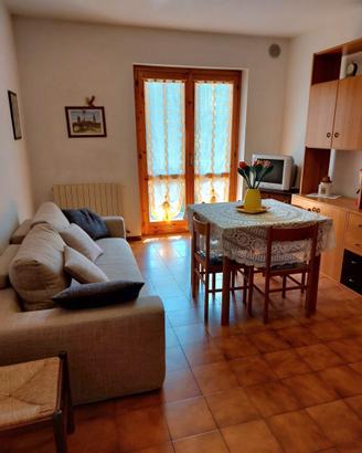 Grazioso trilocale arredato