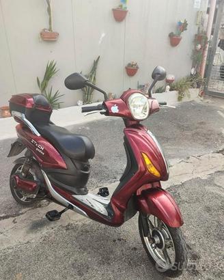 bicicletta elettrica zetec 