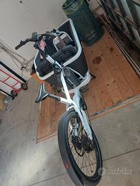 bicicletta Cube cargo