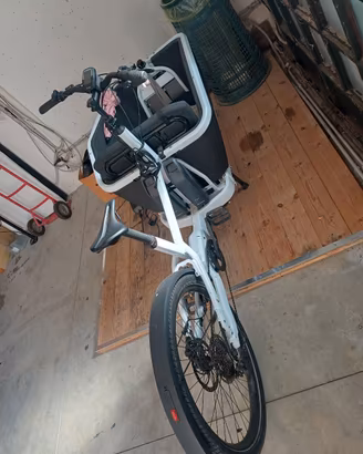 bicicletta Cube cargo