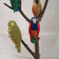 Pappagallini all' uncinetto