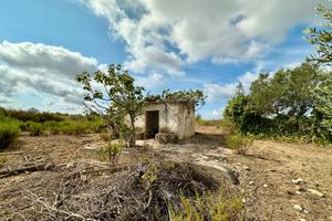 Terreno a Partinico, Contrada Valguarnera