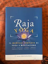 Raja yoga