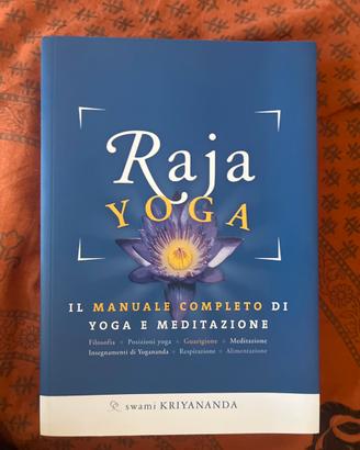 Raja yoga