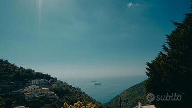 Disponibile da gennaio