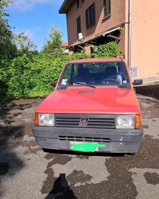 panda 750 yuong