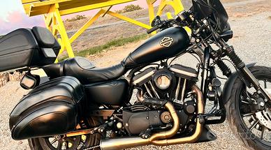 Harley Davidson 883 R (1200)