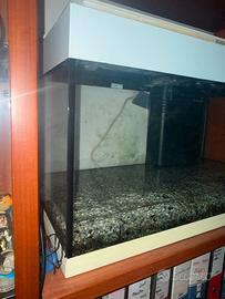 acquario