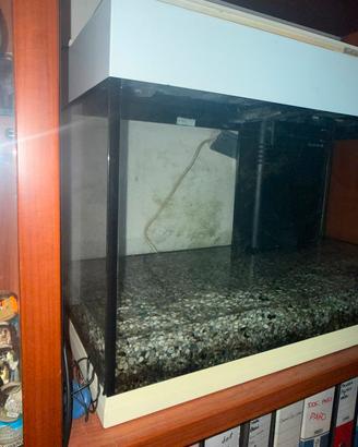 acquario