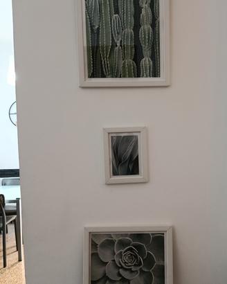 4 stampe con cornice bianca 