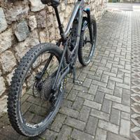 orbea wild