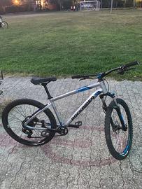 Bicicletta monte bike