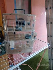 gabbia per criceti