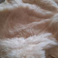 Pelli conciate di coniglio e agnellino