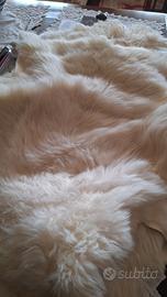 Pelli conciate di coniglio e agnellino