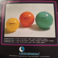 Palla fitness pilates fisioterapia