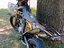 Immagine 3