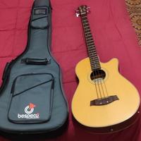 basso acustico amplificato Ibanez Aeb-30