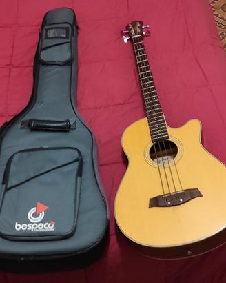 basso acustico amplificato Ibanez Aeb-30