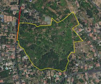 Terreno a Viagrande 9,5 ettari