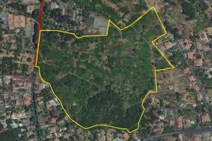 Terreno a Viagrande 9,5 ettari