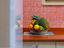 Immagine 24