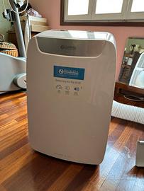 Olimpia Splendid Dolceclima Air Pro 14 HP