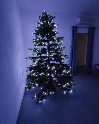 Albero di Natale Siberiano 2,70 m