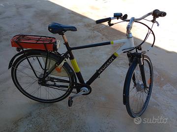 bicicletta elettrica 