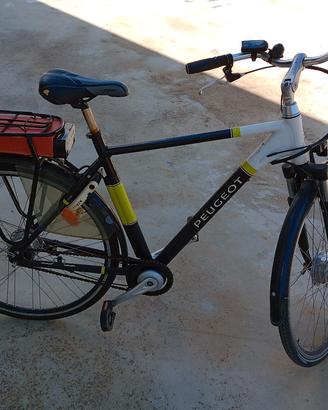 bicicletta elettrica 