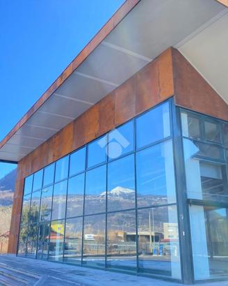 NEGOZIO A ENDINE GAIANO