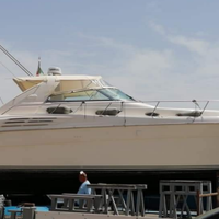 Sea Ray Sundancer 16m linea d'asse