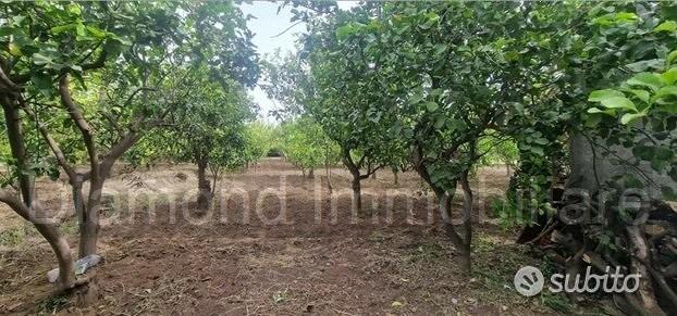Terreno agricolo-edificabile Fiumefreddo d Sicilia - Vista 4